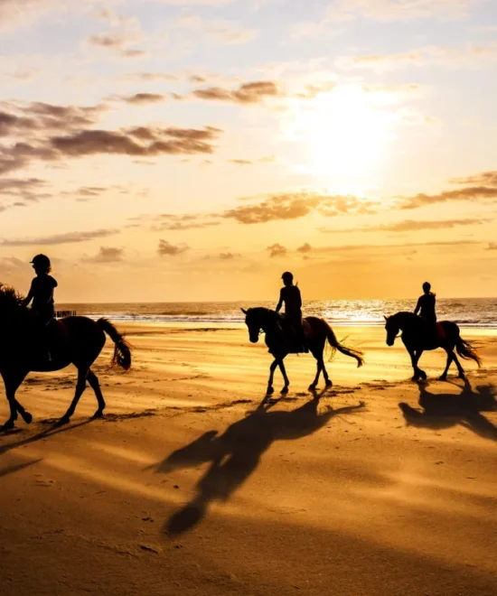 Horseback Ride on the Beach with Hotel Pickup Agadir & Taghazout