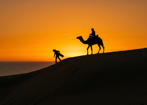 Sunset Sandboarding & Camel Ride From Taghazout & Agadir